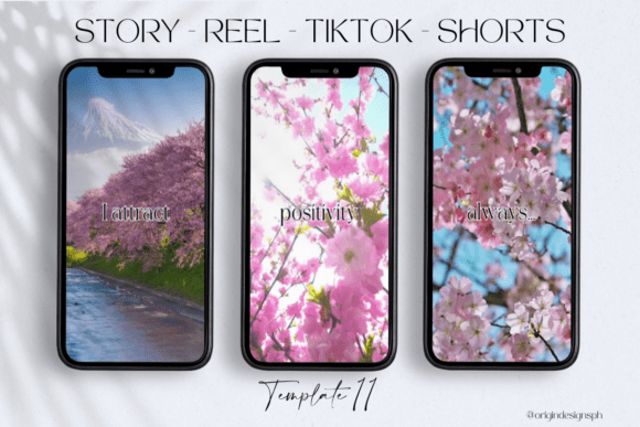 Download Canva Reels TikTok Shorts - Tiktok Collection